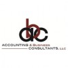 Accounting & Business Consultants